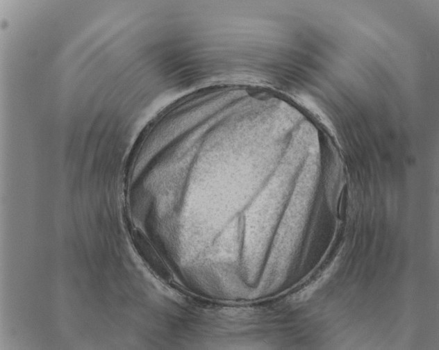 X0000088410989200706191418