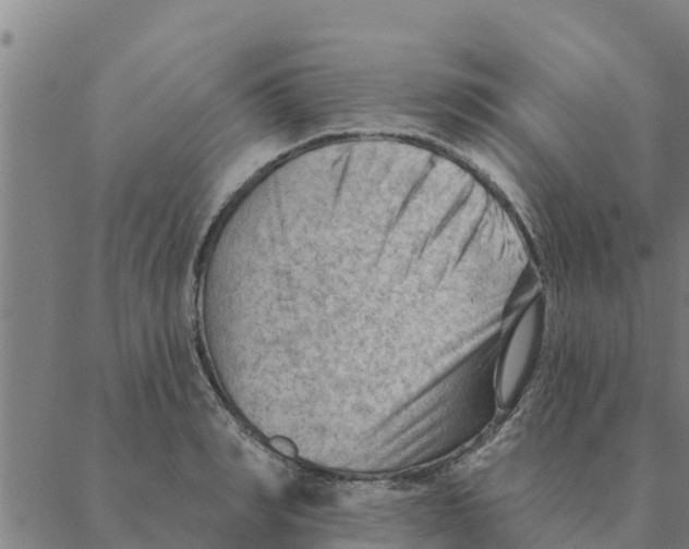 X0000088410990200706191418