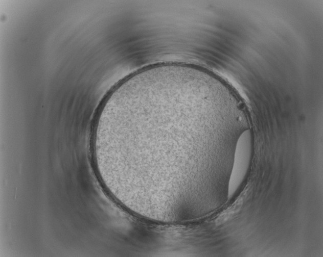 X0000088410991200706191418