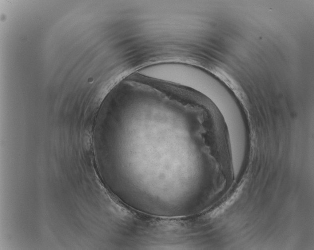 X0000088410993200706191418