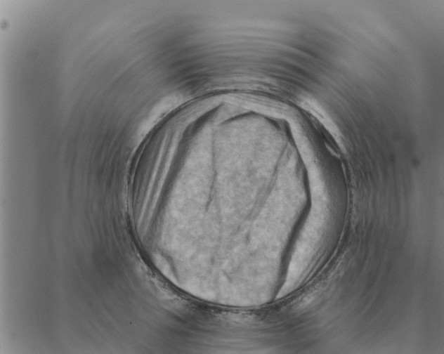 X0000088410994200706191418