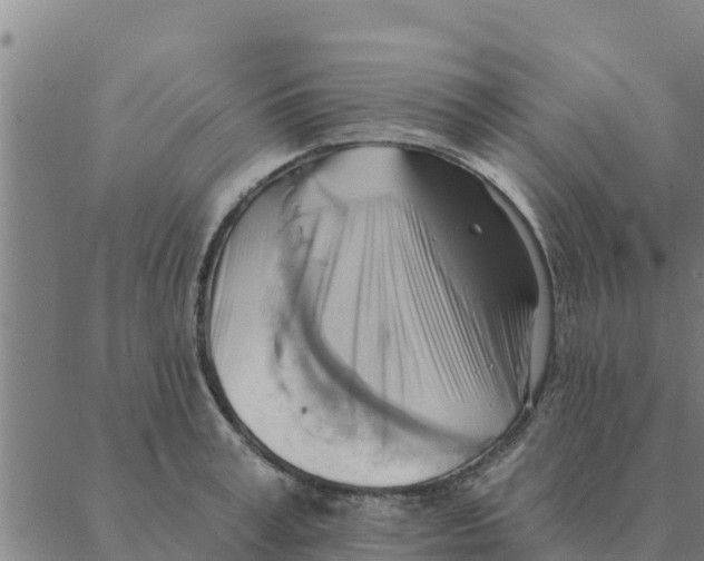 X0000088410995200706191418