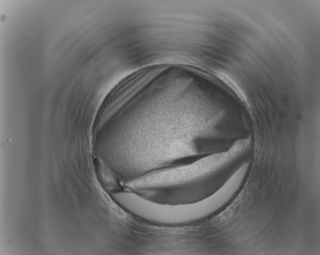 X0000088410996200706191418