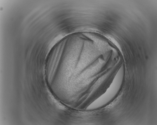 X0000088410997200706191418