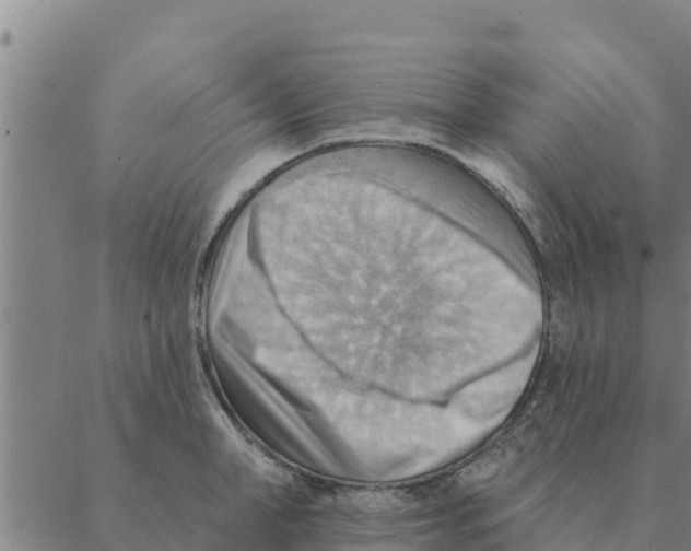 X0000088410998200706191418