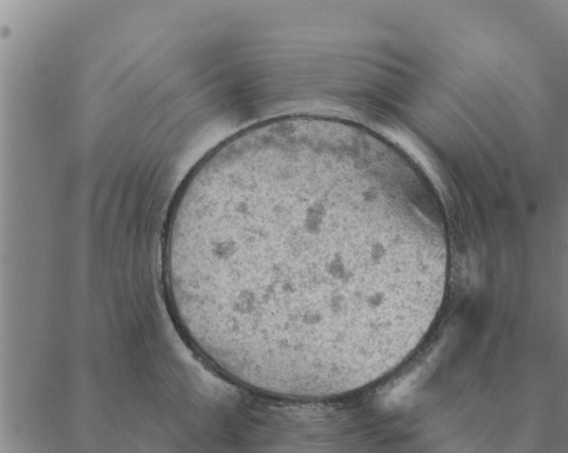 X0000088410999200706191418