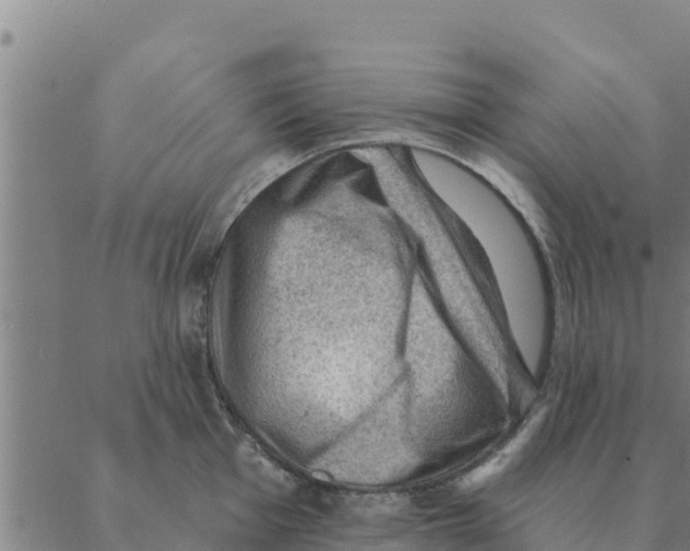 X0000088411001200706191418