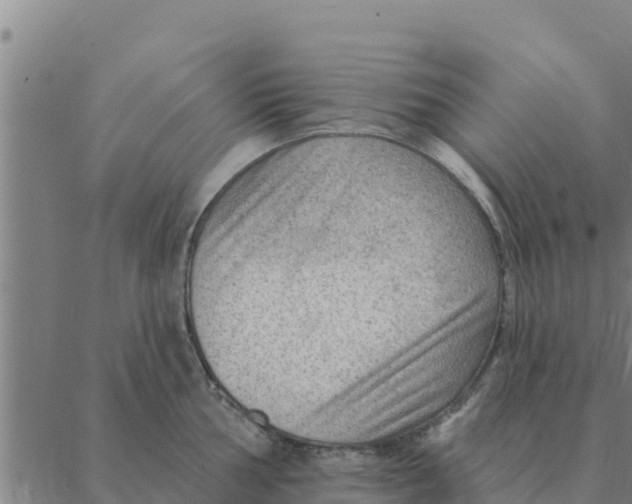 X0000088411002200706191418