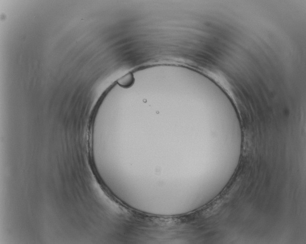 X0000088411003200706191418