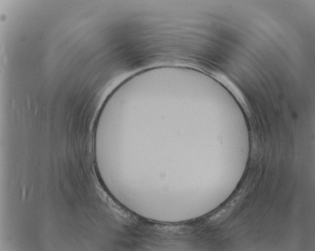 X0000088411004200706191418