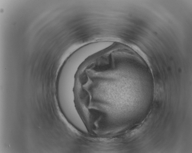 X0000088411005200706191418