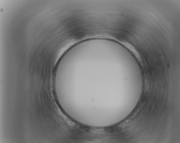 X0000088411006200706191418