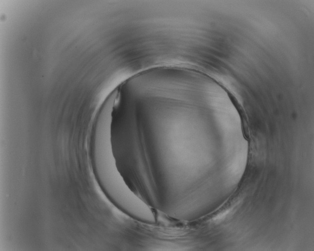 X0000088411007200706191417