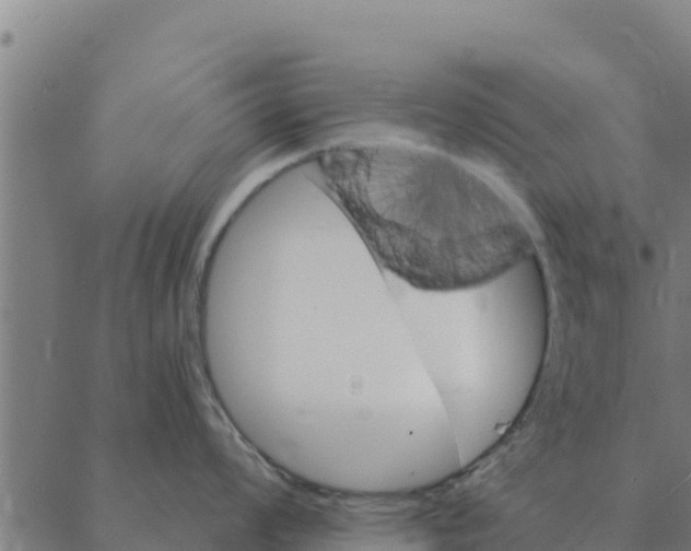 X0000088411008200706191417