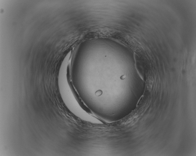 X0000088411010200706191417