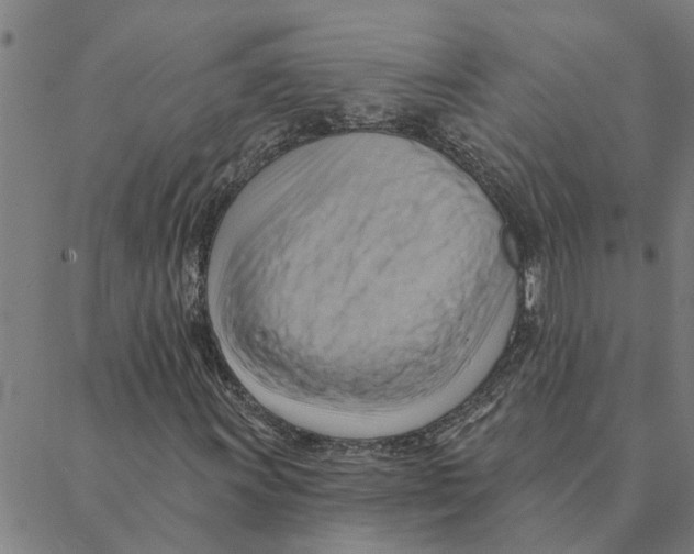 X0000088411011200706191417