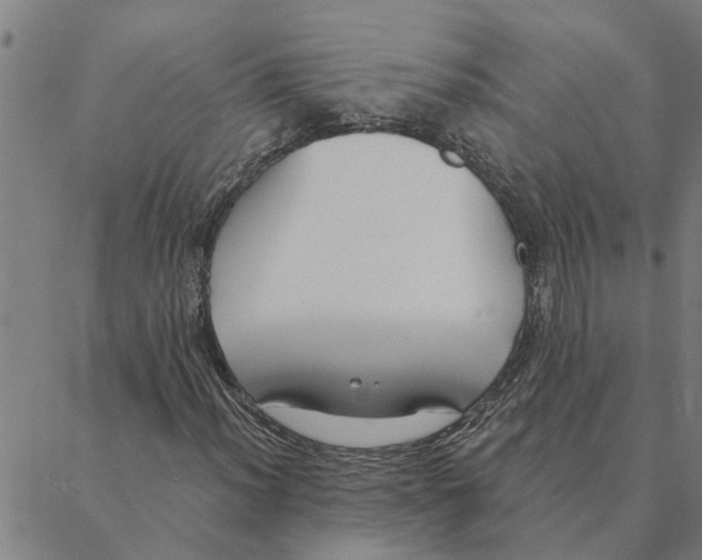 X0000088411012200706191417