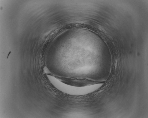 X0000088411014200706191417