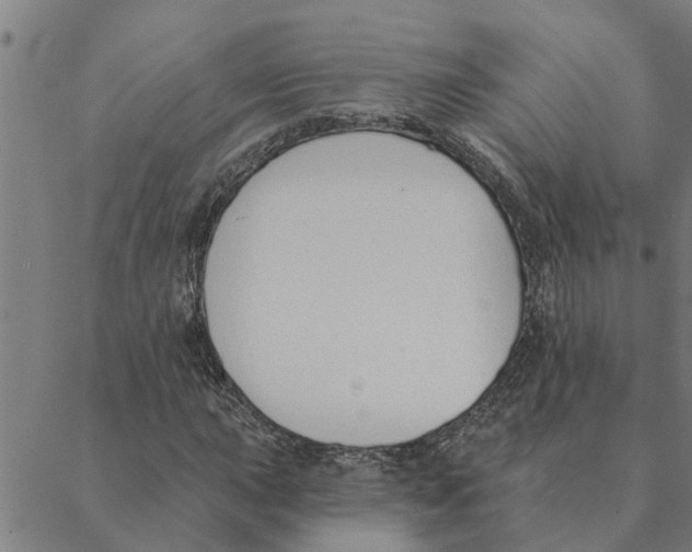 X0000088411015200706191417