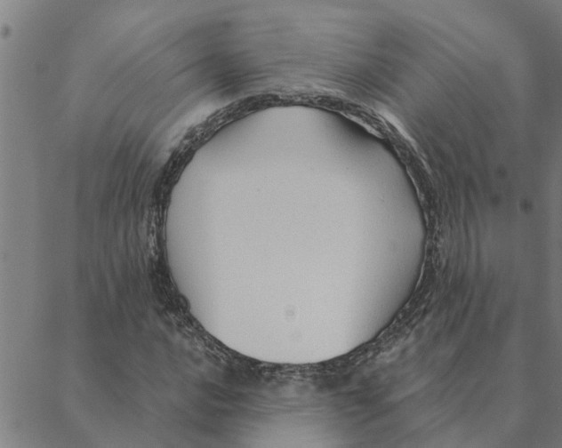 X0000088411016200706191417