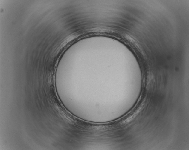 X0000088411017200706191417