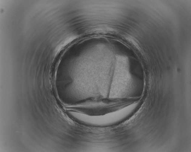 X0000088411018200706191417