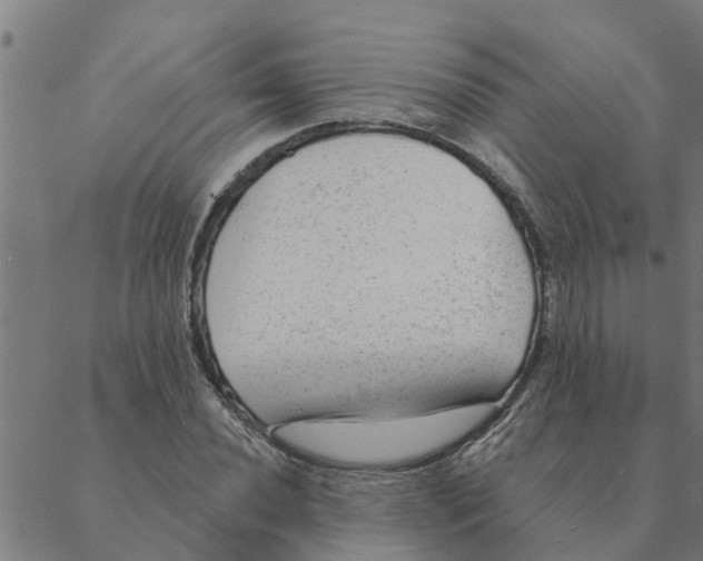 X0000088411020200706191417