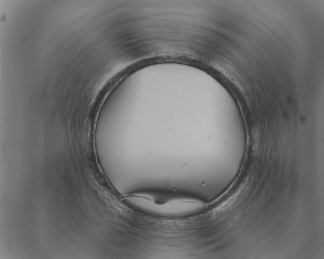 X0000088411021200706191417