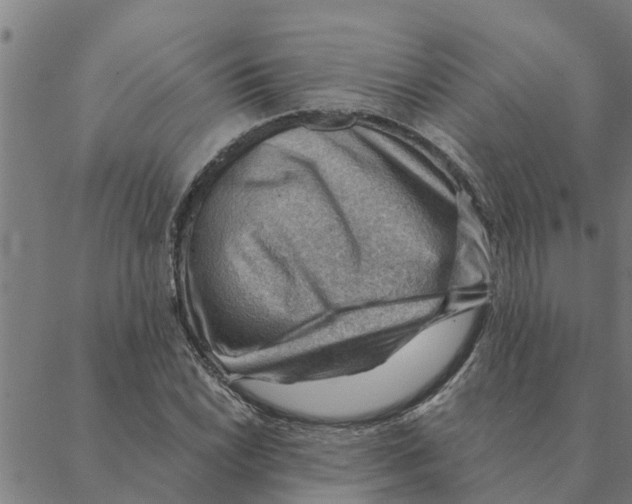 X0000088411022200706191417