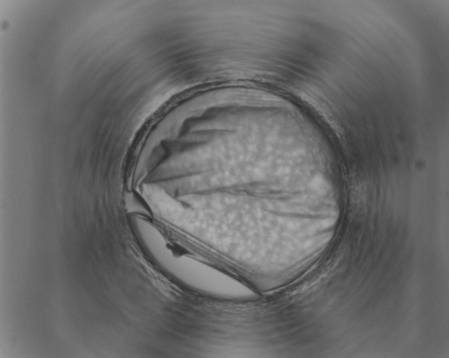 X0000088411023200706191417