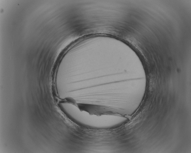 X0000088411024200706191417