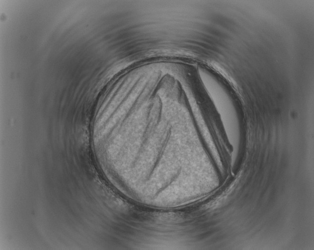 X0000088411025200706191417