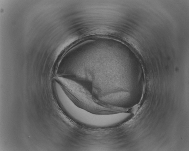 X0000088411026200706191417