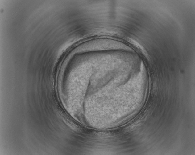 X0000088411027200706191417