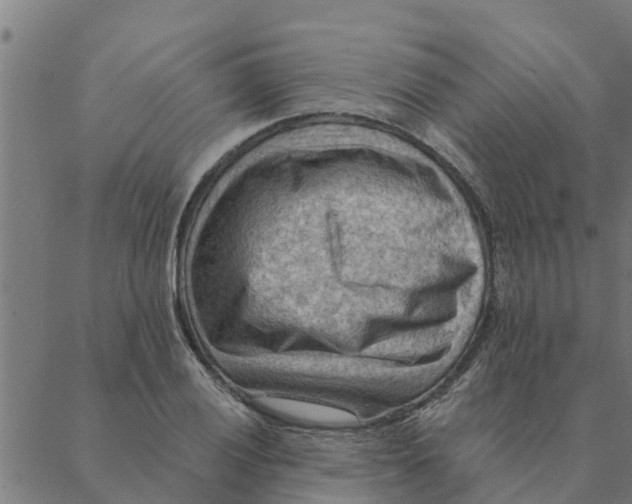 X0000088411028200706191417