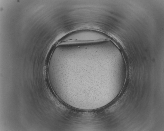 X0000088411029200706191417