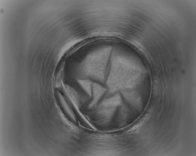 X0000088411030200706191417