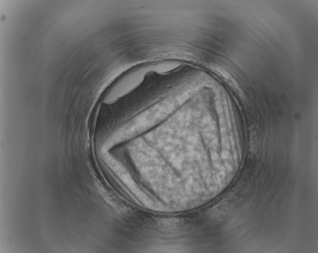 X0000088411031200706191417