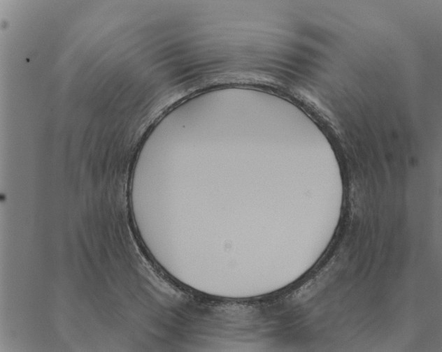 X0000088411033200706191417