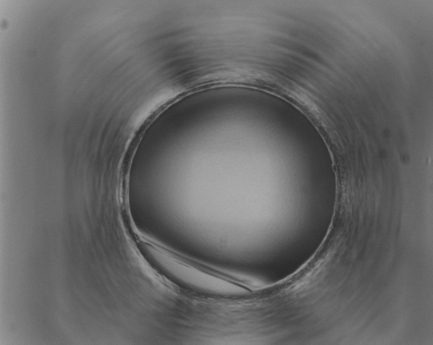 X0000088411034200706191417