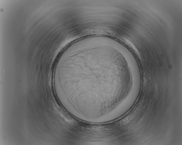 X0000088411035200706191417