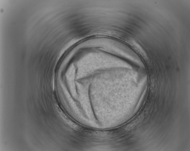 X0000088411036200706191417