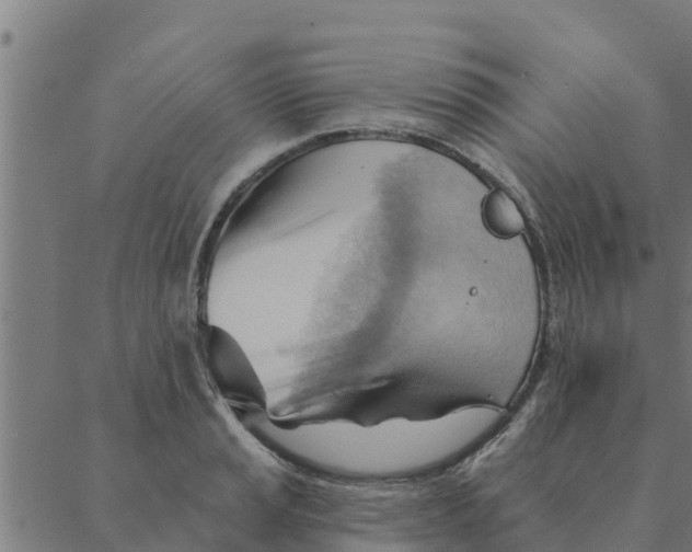 X0000088411037200706191417