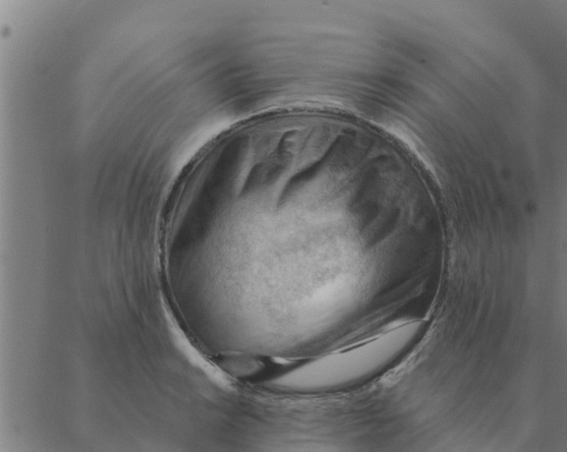 X0000088411038200706191417