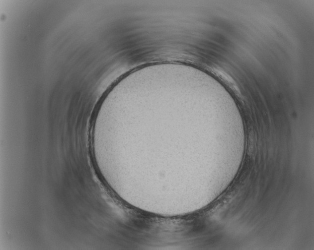 X0000088411039200706191417