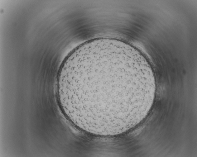 X0000088411040200706191417