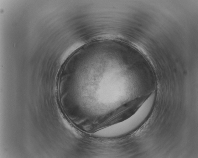 X0000088411042200706191417