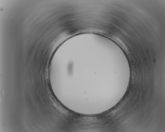 X0000088411044200706191417