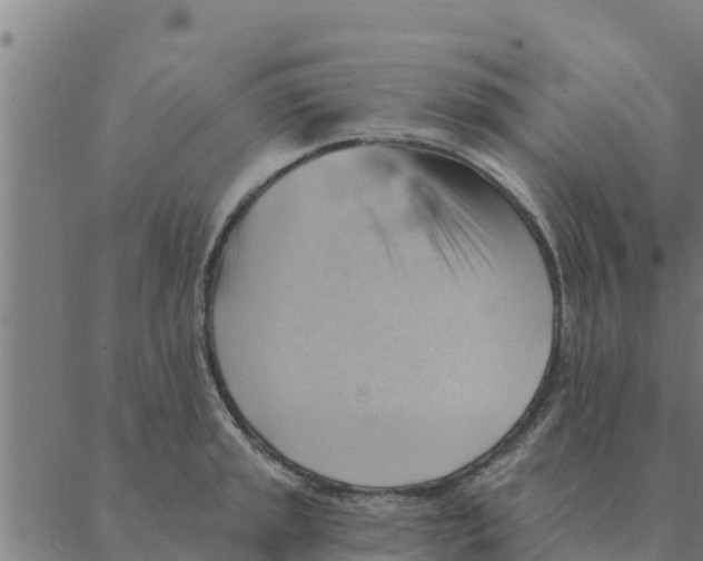 X0000088411045200706191417