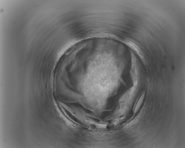 X0000088411046200706191417